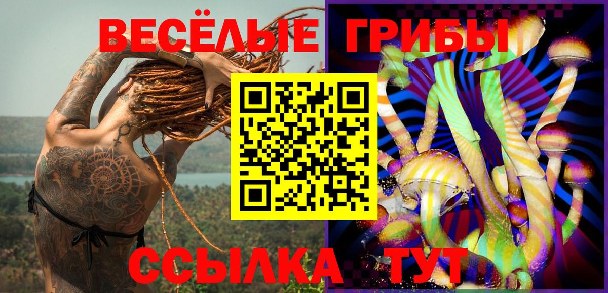 Псилоцибиновые грибы мухоморы  Вход с VPN  Псилоцибиновые грибы ЛСД  Рассказово 