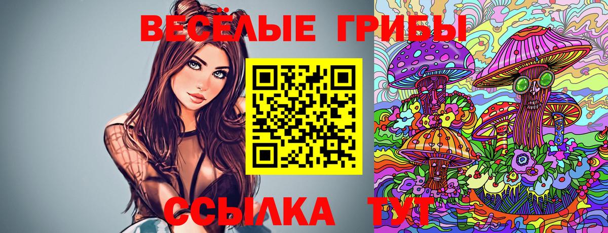Псилоцибиновые грибы Magic Shrooms Рассказово